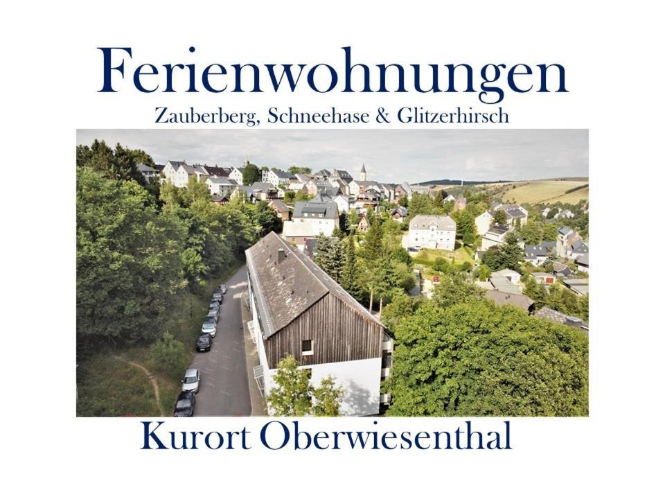 Ferienwohnungen Zauberberg, Schneehase & Glitzerhirsch Oberwiesenthal Εξωτερικό φωτογραφία